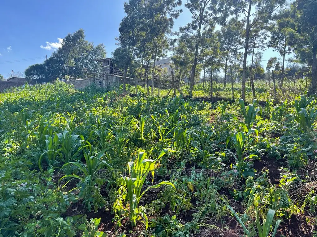 Prime Commercial Plot in Kikuyu, Sigona Along Waiyaki Way.