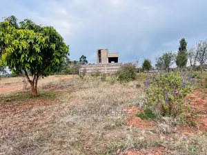 Prime Residential 50 by 100fts Plot in Kikuyu, Lusingetti.