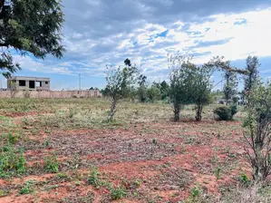 Prime Residential 50 by 100fts Plot in Kikuyu, Lusingetti.