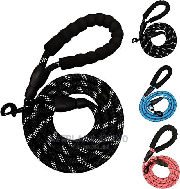 Nylon Reflective Leash - main view