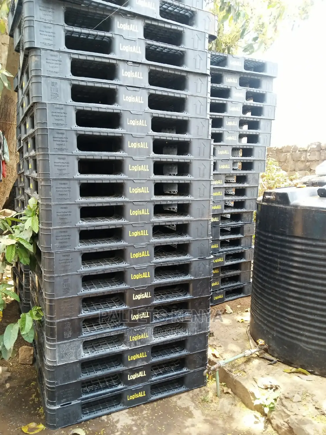 Plastic Pallets