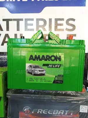 N80R Amaron
