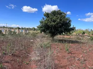 Prime 50 By 100fts Residential Plot In Kikuyu, Kamangu.