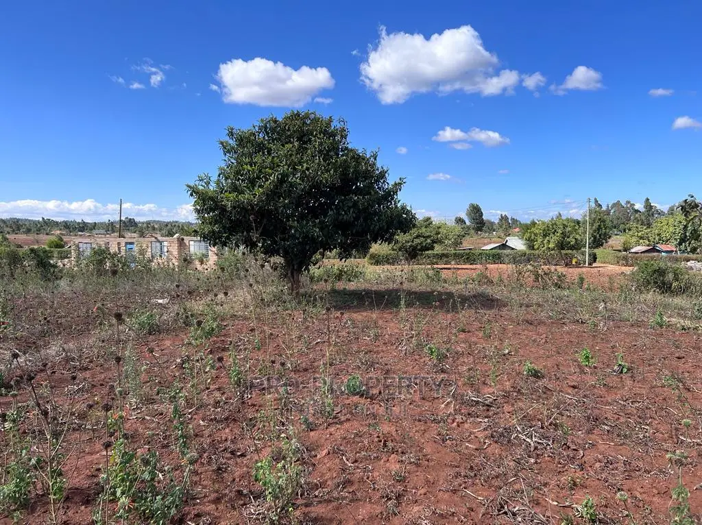 Prime 50 By 100fts Residential Plot In Kikuyu, Kamangu.