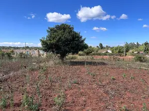 Prime 50 By 100fts Residential Plot In Kikuyu, Kamangu.