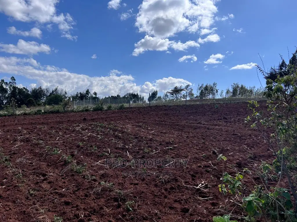Prime 50 By 100fts Residential Plot In Kikuyu, Kamangu.