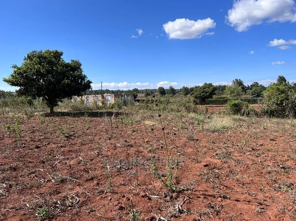 Prime 50 By 100fts Residential Plot In Kikuyu, Kamangu.