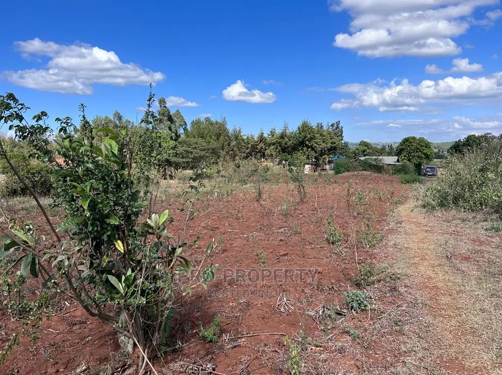 Prime 50 By 100fts Residential Plot In Kikuyu, Kamangu.