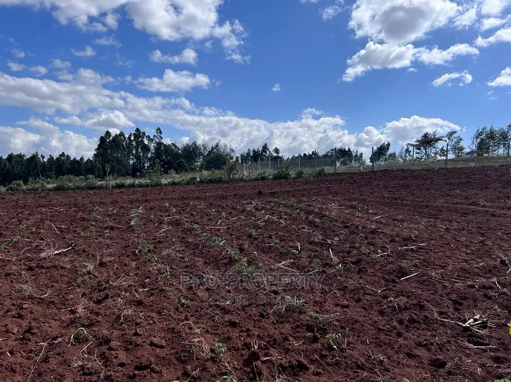 Prime 50 By 100fts Residential Plot In Kikuyu, Kamangu.