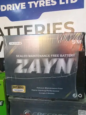 N90R Zayn Car Battery