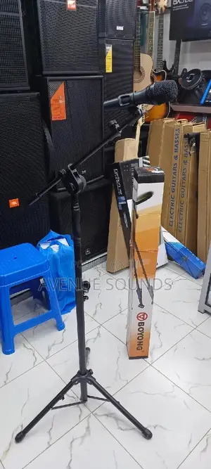 Boyong BY789 Stage Microphone Stage