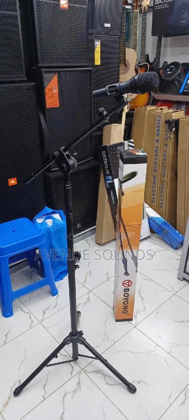 Boyong BY789 Stage Microphone Stage