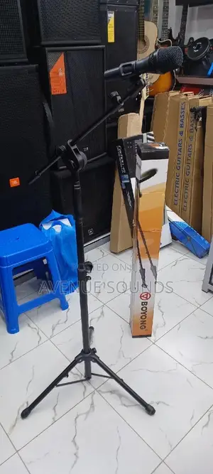 Boyong BY789 Stage Microphone Stage