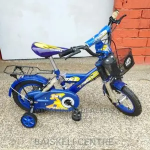 Bicycle 12 New