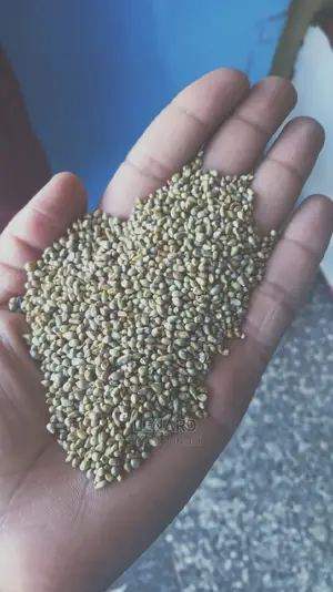 Mawele Seeds