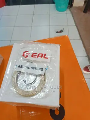 Recoil Spring