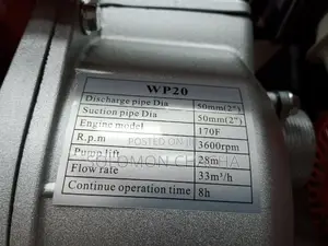 Windsor 2inch Water Pump