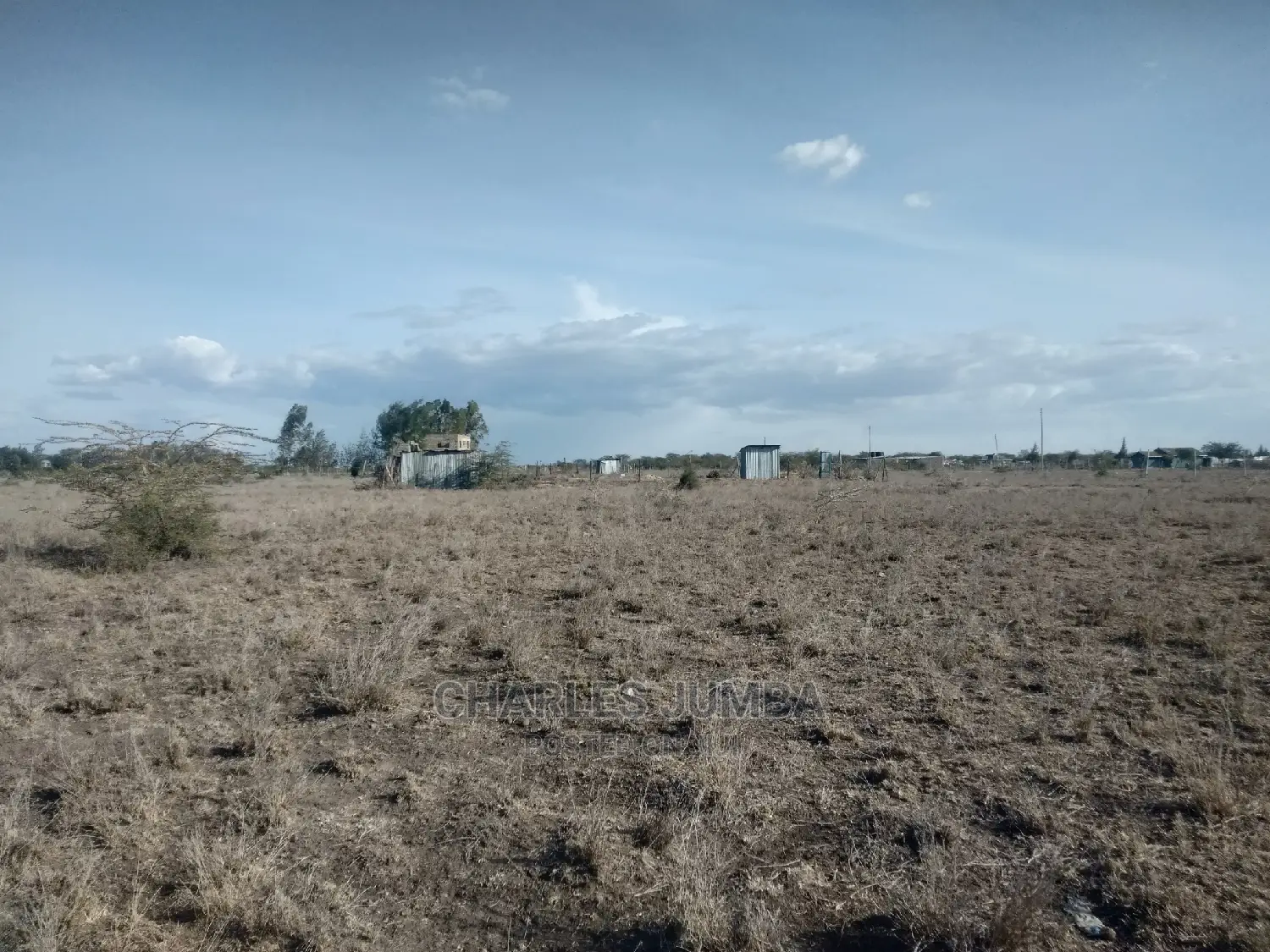 Prime 1/4 Plot in Kisaju