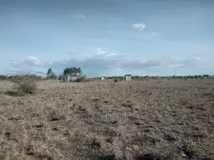 Prime 1/4 Plot in Kisaju