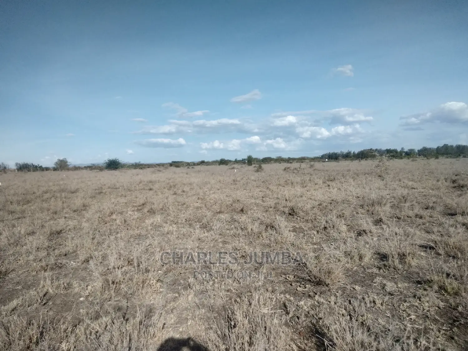 Prime 1/4 Plot in Kisaju