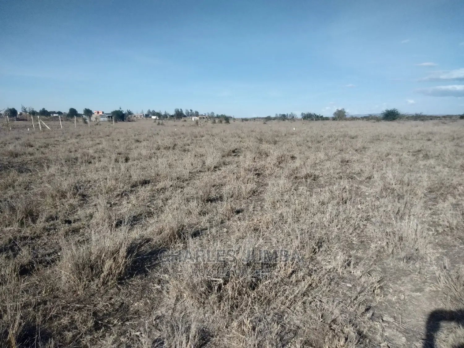 Prime 1/4 Plot in Kisaju