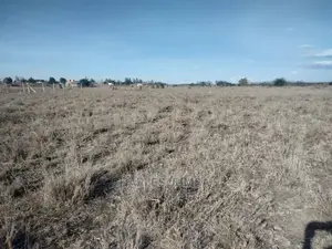 Prime 1/4 Plot in Kisaju