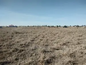 Prime 1/4 Plot in Kisaju