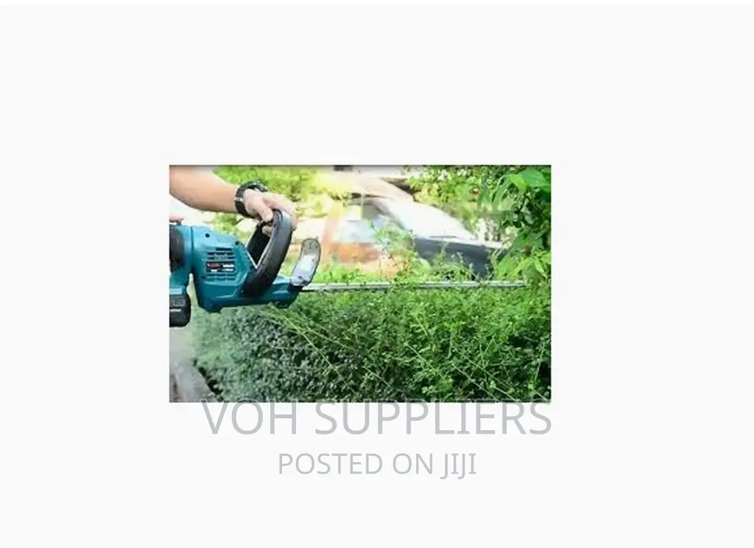 Total Tools Hedge Trimmer (Li-Ion 2V, THTLI2001)