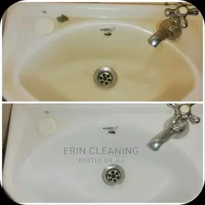 Bowls and Toilet Cleaning