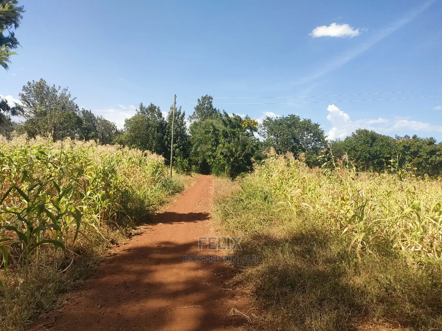 2 Acres Kibingoti/Sagana Karatina Highway in Kiine Land & Plots for