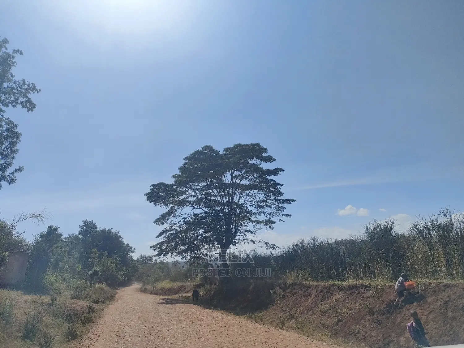 2 Acres Kibingoti/Sagana Karatina Highway