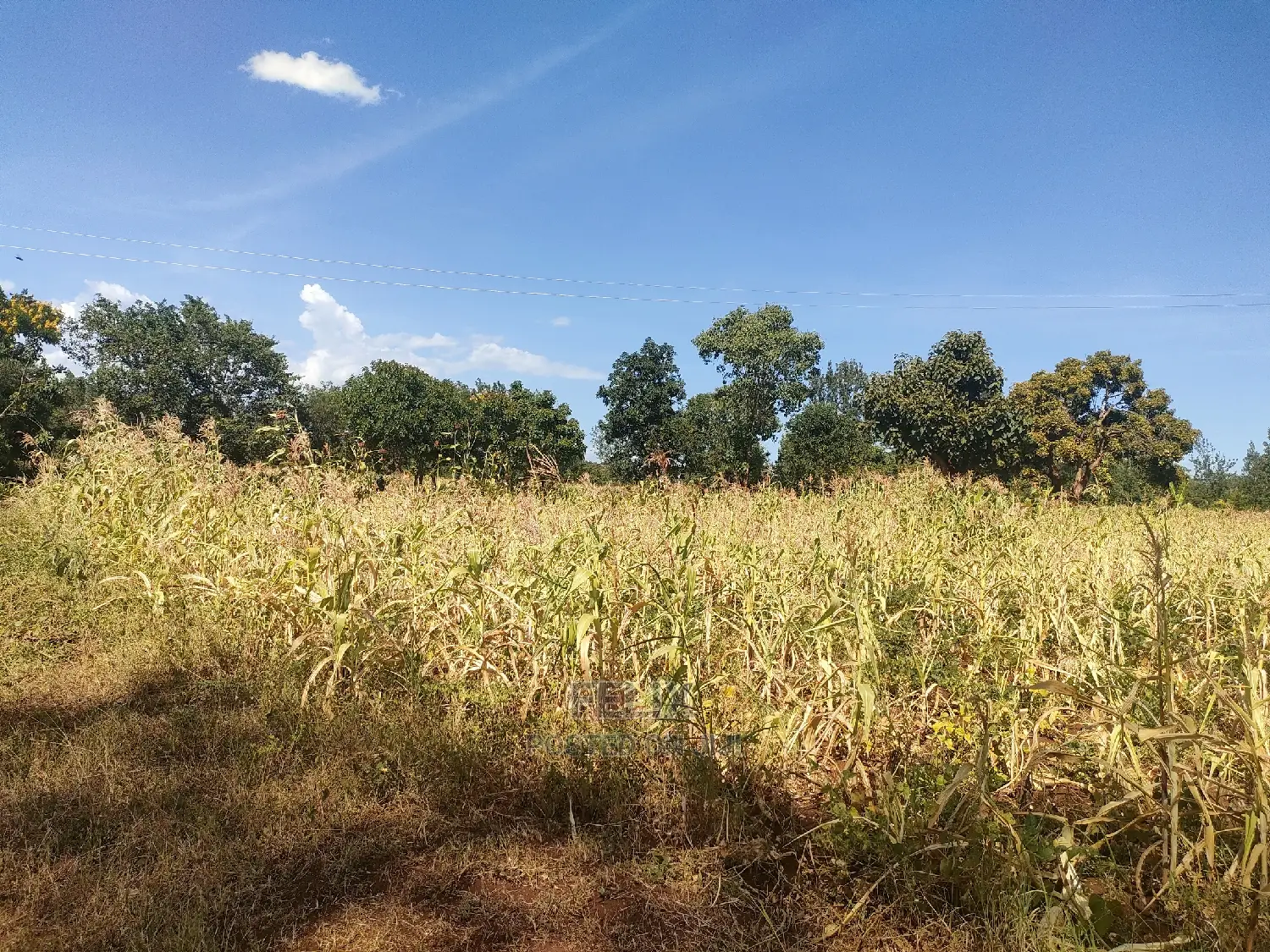 2 Acres Kibingoti/Sagana Karatina Highway