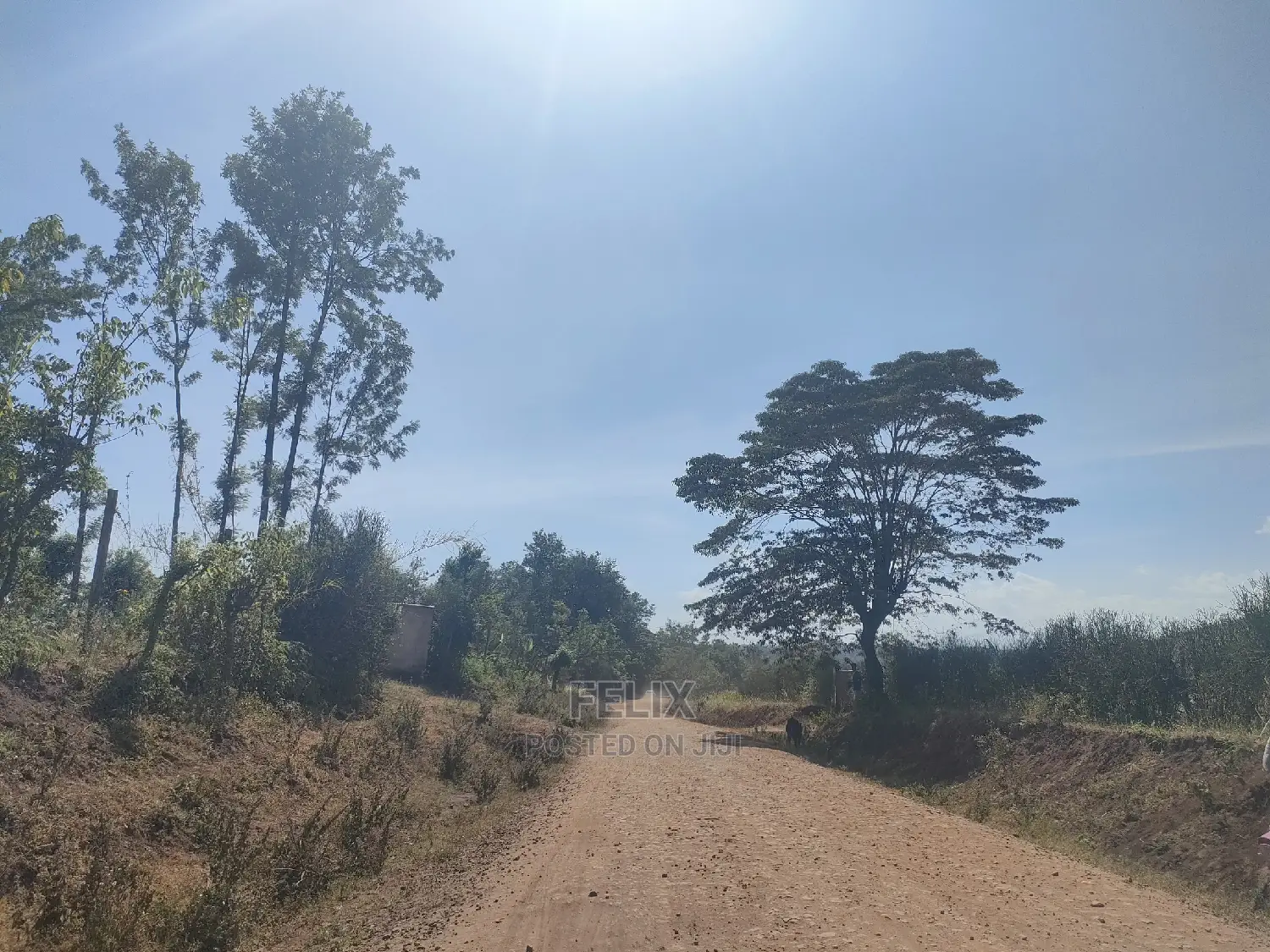 2 Acres Kibingoti/Sagana Karatina Highway
