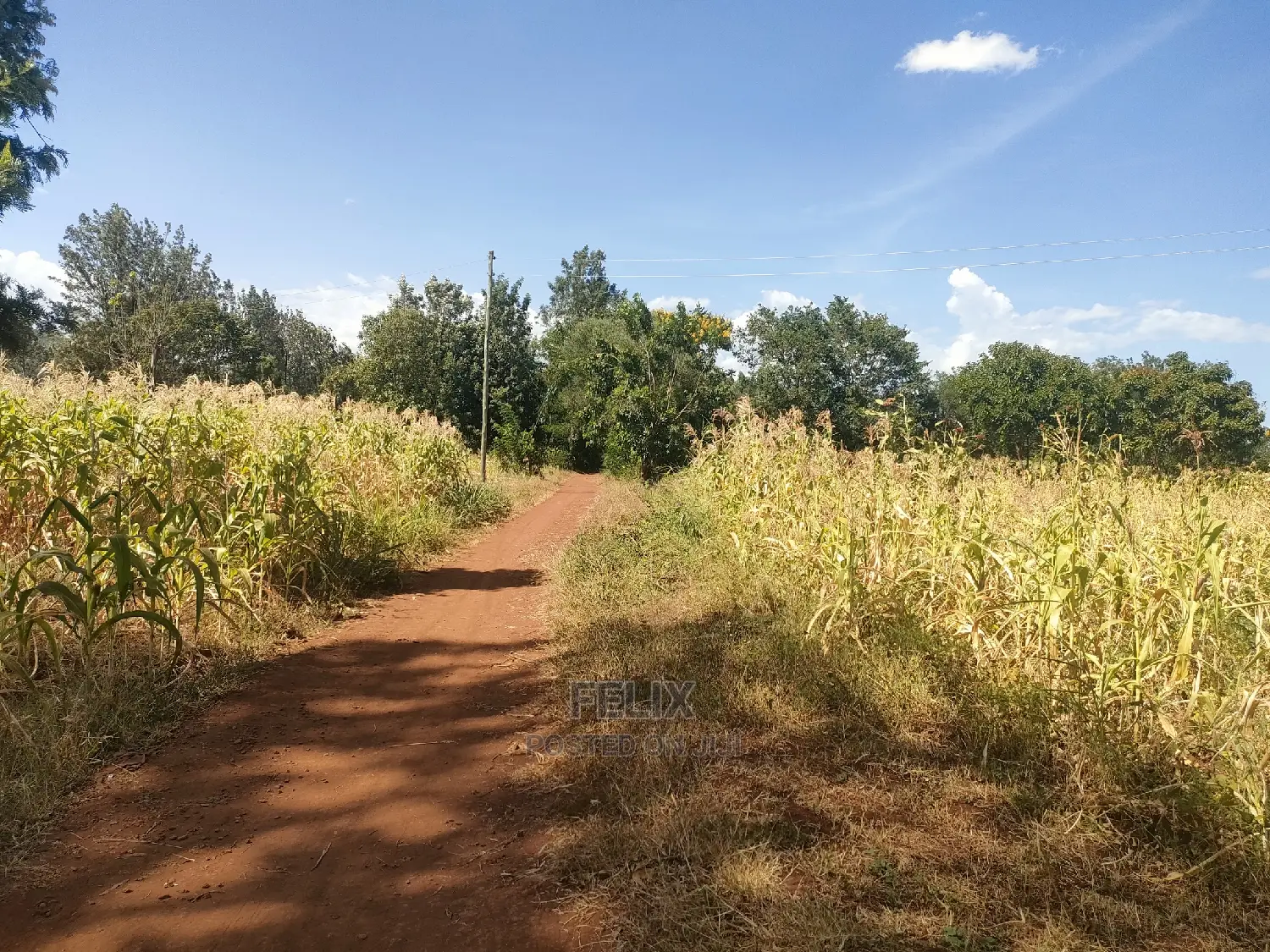 2 Acres Kibingoti/Sagana Karatina Highway