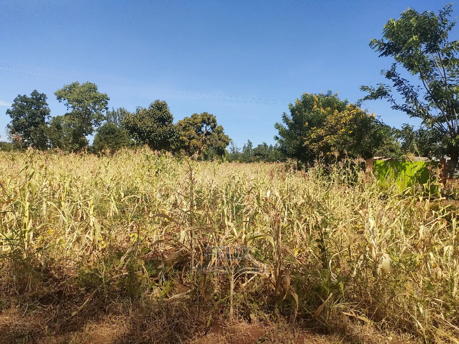 2 Acres Kibingoti/Sagana Karatina Highway