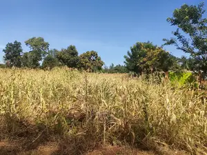 2 Acres Kibingoti/Sagana Karatina Highway