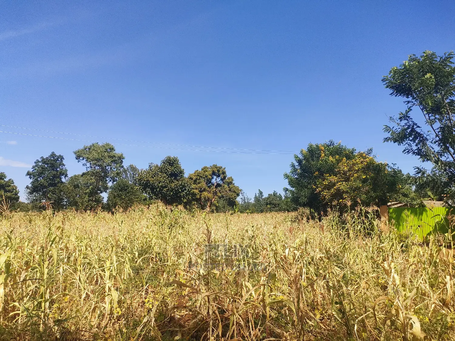 2 Acres Kibingoti/Sagana Karatina Highway