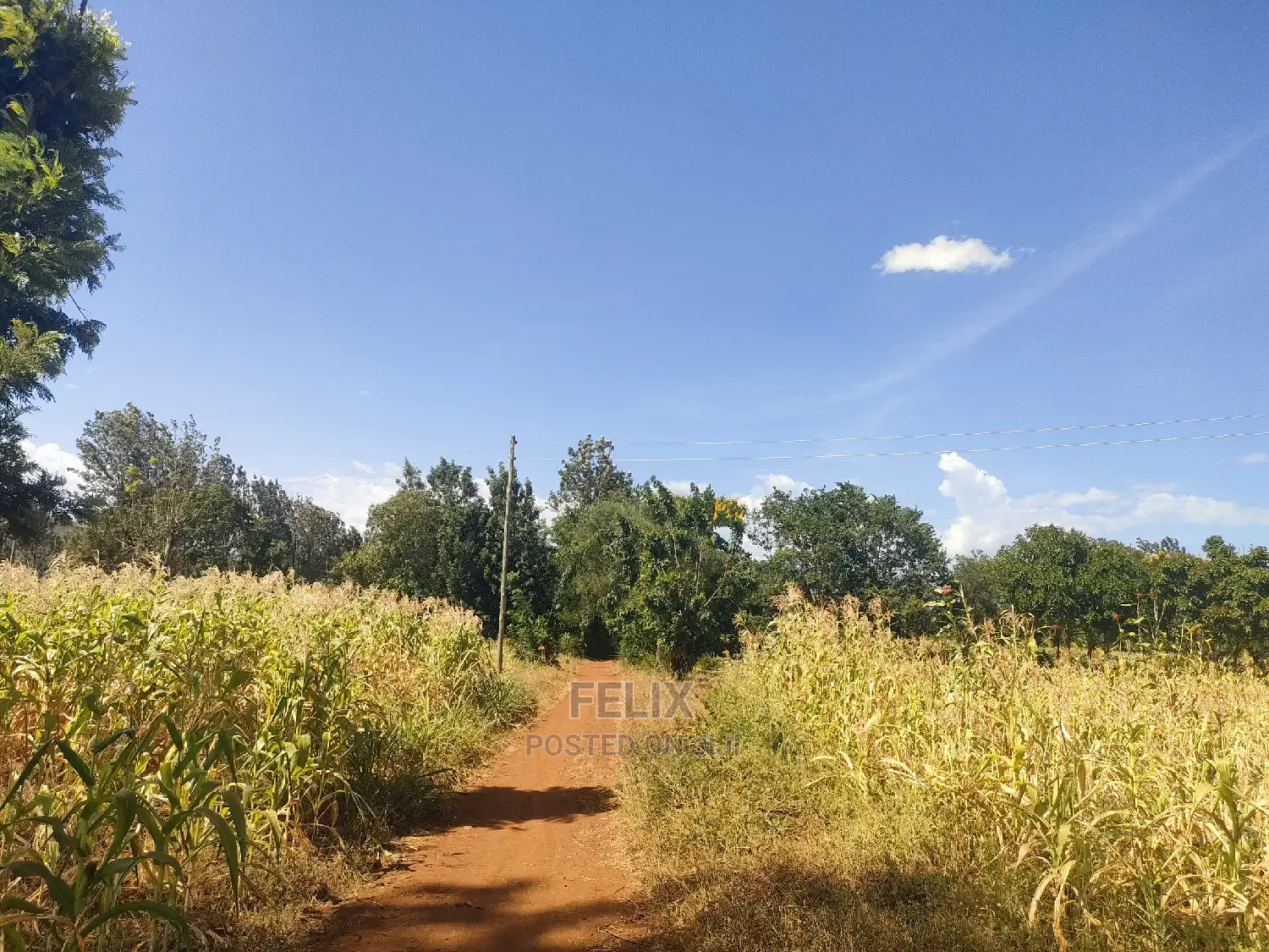 2 Acres Kibingoti/Sagana Karatina Highway