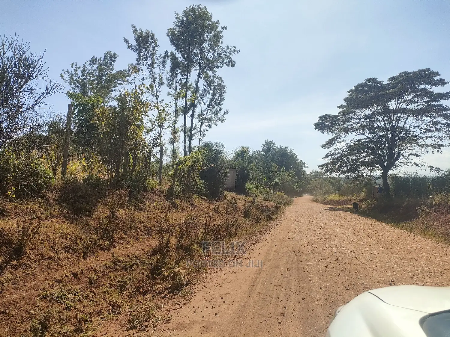 2 Acres Kibingoti/Sagana Karatina Highway