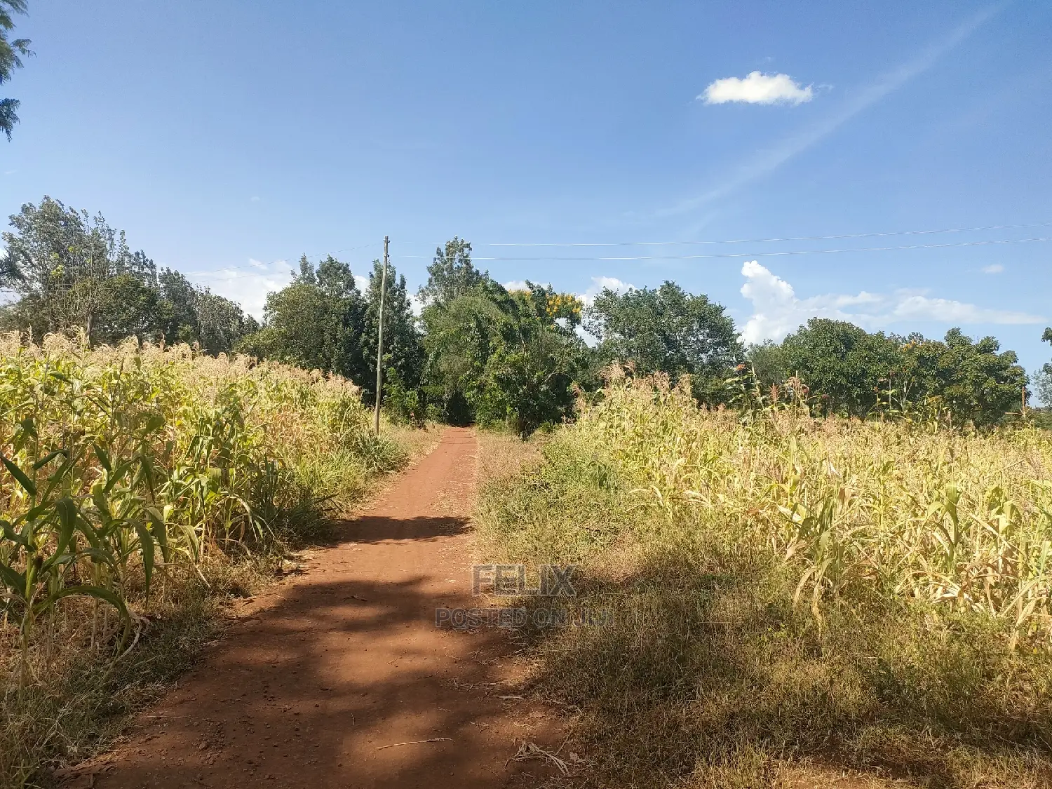 2 Acres Kibingoti/Sagana Karatina Highway