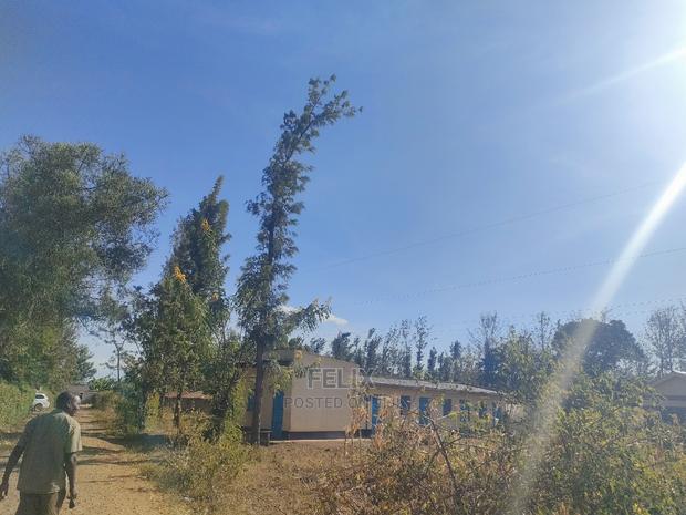 1 Acre Sagana/ Makutano Highway Riandila - thumbnail 9