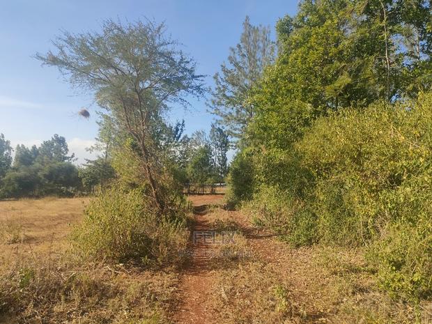 1 Acre Sagana/ Makutano Highway Riandila - thumbnail 7