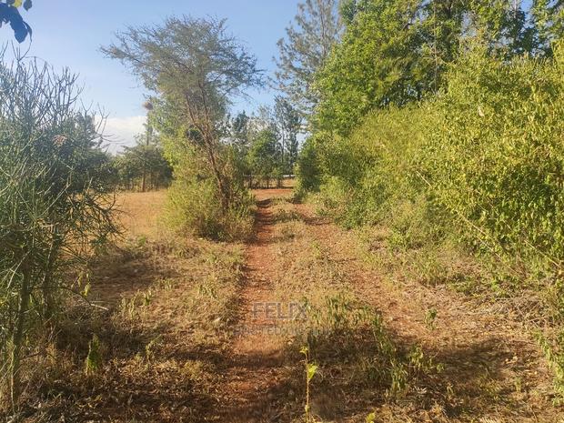 1 Acre Sagana/ Makutano Highway Riandila - thumbnail 8