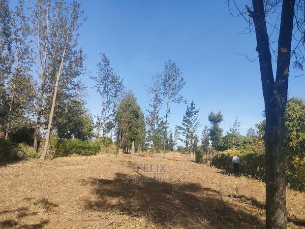 1 Acre Sagana/ Makutano Highway Riandila - thumbnail 11