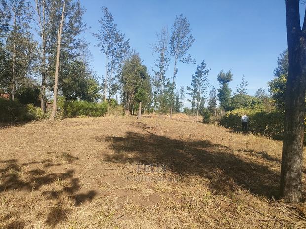 1 Acre Sagana/ Makutano Highway Riandila - thumbnail 13