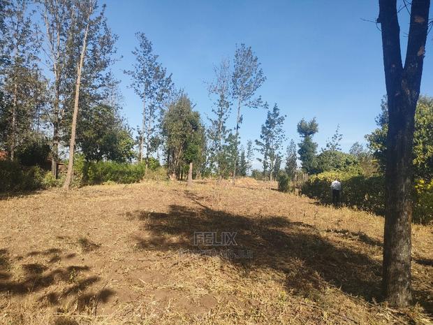 1 Acre Sagana/ Makutano Highway Riandila - thumbnail 15