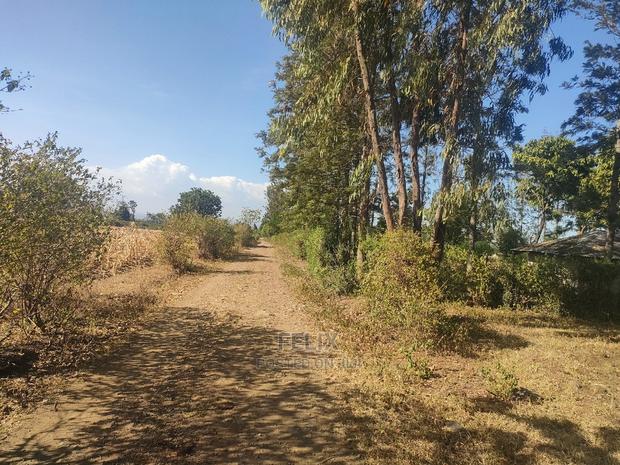 1 Acre Sagana/ Makutano Highway Riandila - thumbnail 14