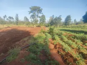 Sagana/ Makutano Tana