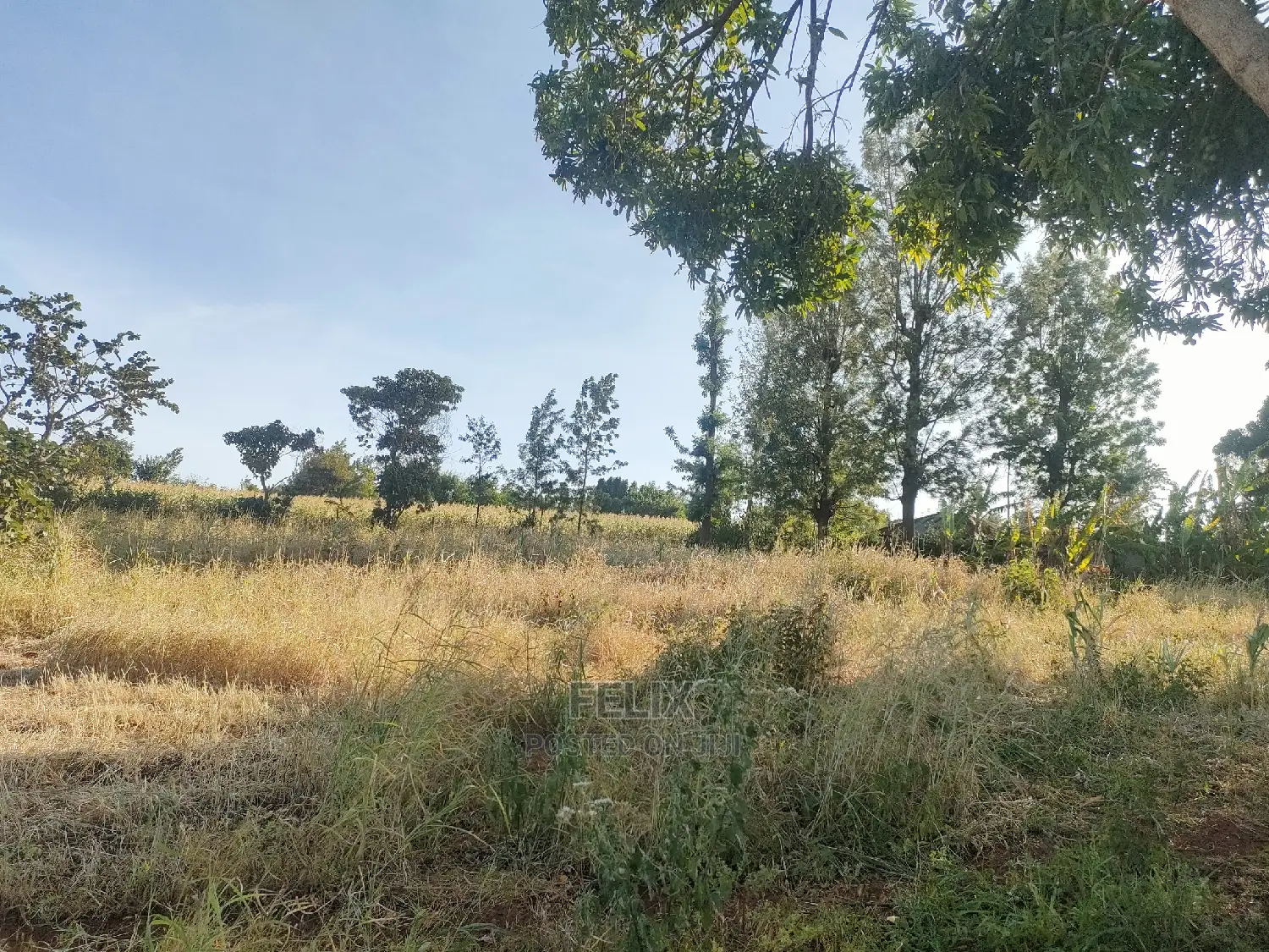 Sagana/ Makutano Tana