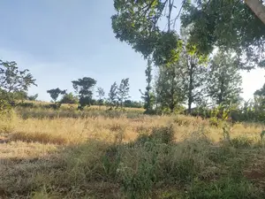 Sagana/ Makutano Tana